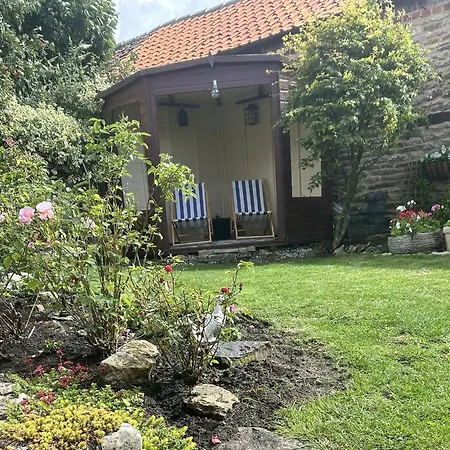 Rose * Σκάρμπορο